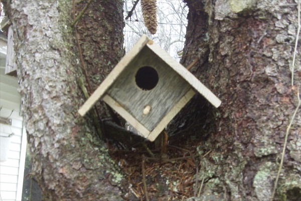 Awesome DIY Bird House made of Pallet Wood | EASY DIY and CRAFTS