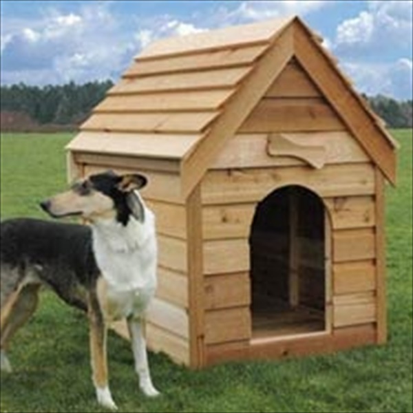10 DIY Comfortable Dog house made of Pallet | EASY DIY and CRAFTS