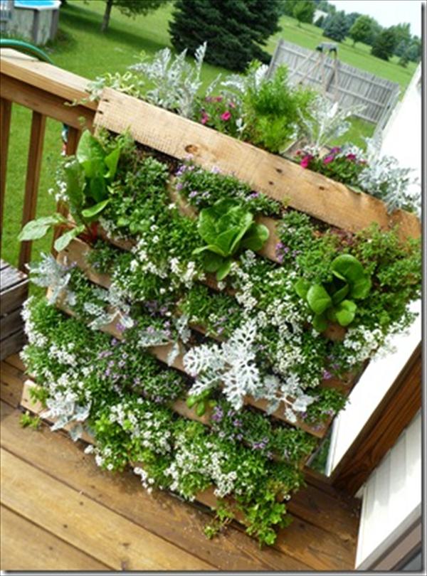 Innovative DIY Pallet Vertical Garden Ideas | EASY DIY and CRAFTS